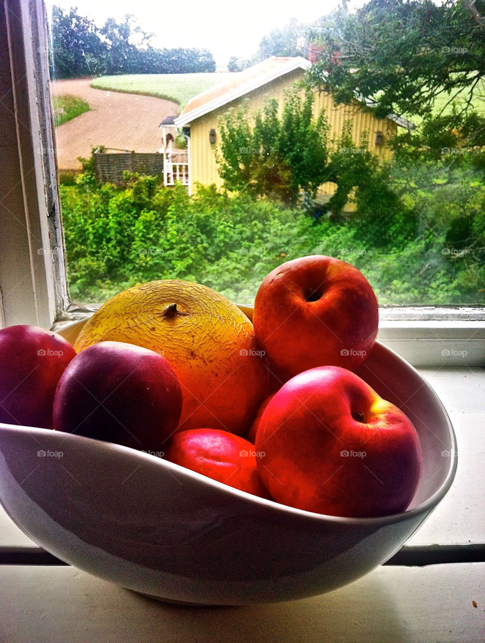 bowl fruits window cottage rural area summer season outside city of stockholm lgt41 skyttorp by lgt41