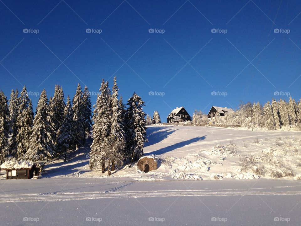 Sunny day at tryvann 