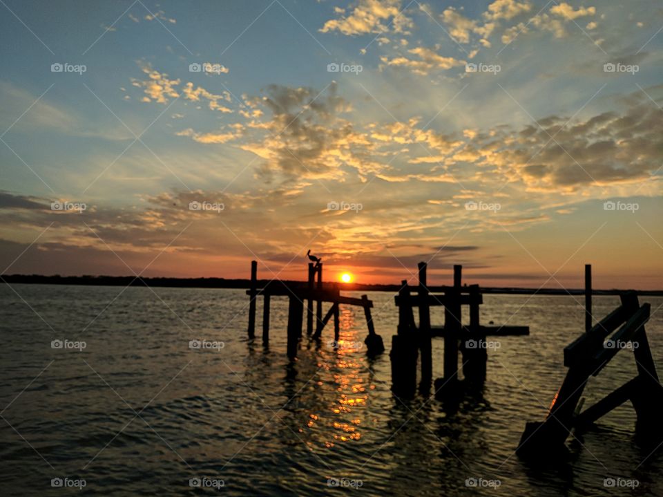 silhouette of a pelican on a broken dock in front of a beautiful sunset