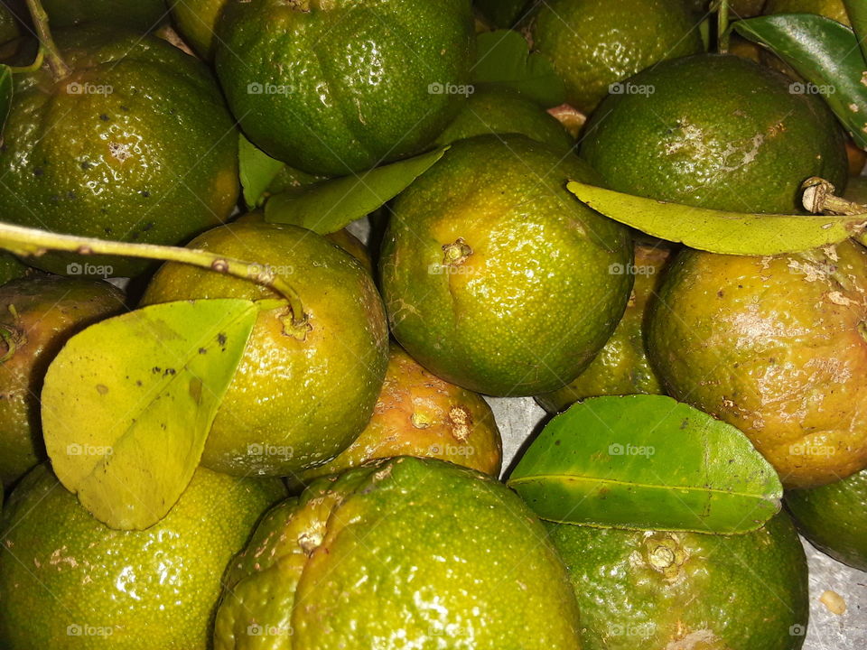 lemon fruit, the lemon, citrus lemon is a species of small evergreen tree in the flowering plant family Rutaceae native south Asia
scientific name: citrus x limon
higher classification: citrus
rank :species.