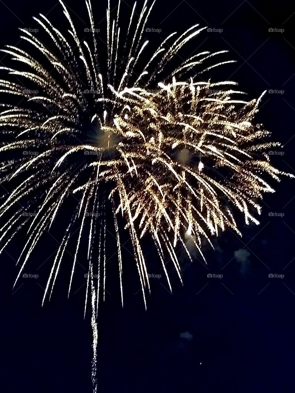 firework exploding into the night sky.