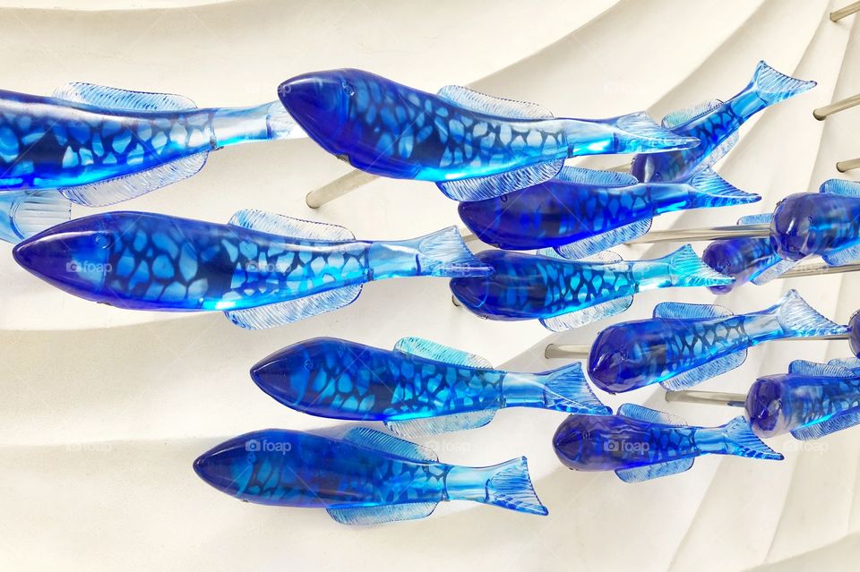 Blue Fish in a Blue Sea