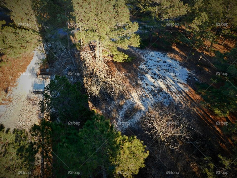 Looking Down From the Tower