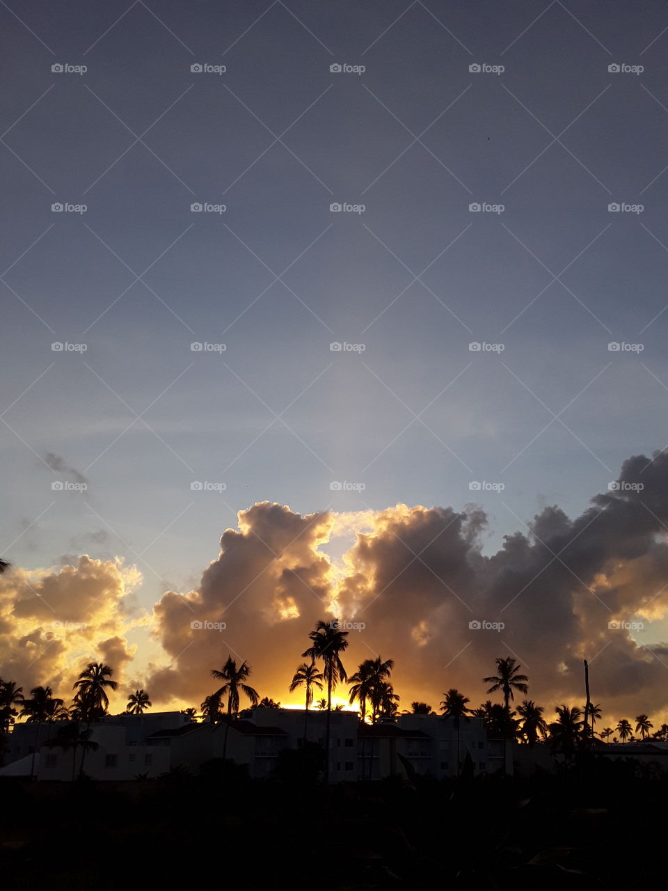 bright yellow in nature amazing sunrise in the Dominican Republic