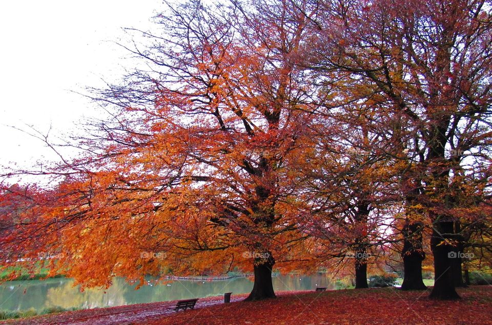 In the park