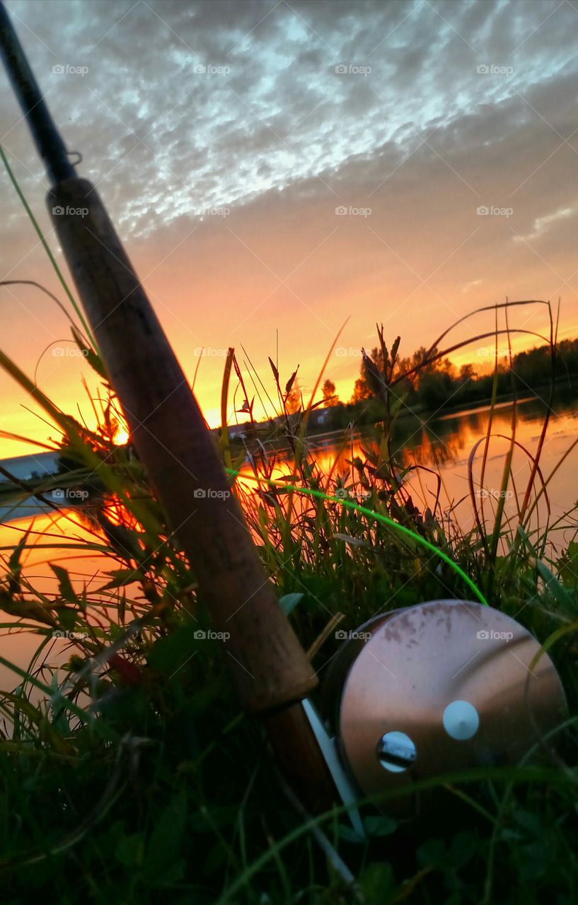 Sunset water Cattails Floral fishing pole fly Pole