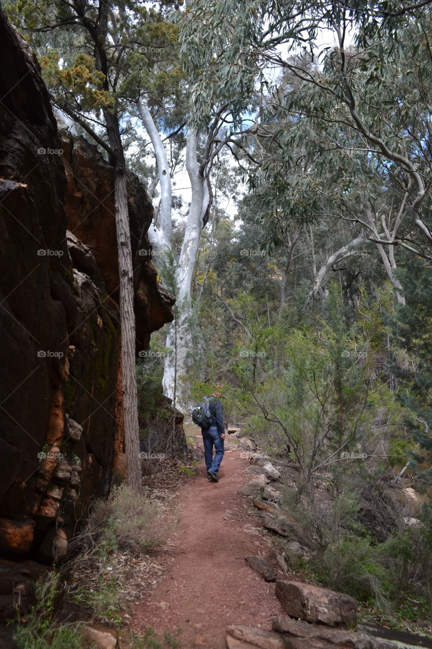 Man in backpack walking along gorge trail in the Flinders Ranges in south Australia near wilpena pound 