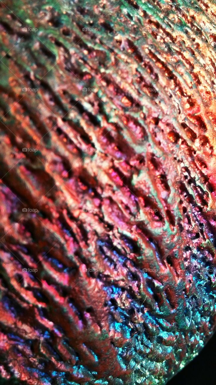 Colorful close up