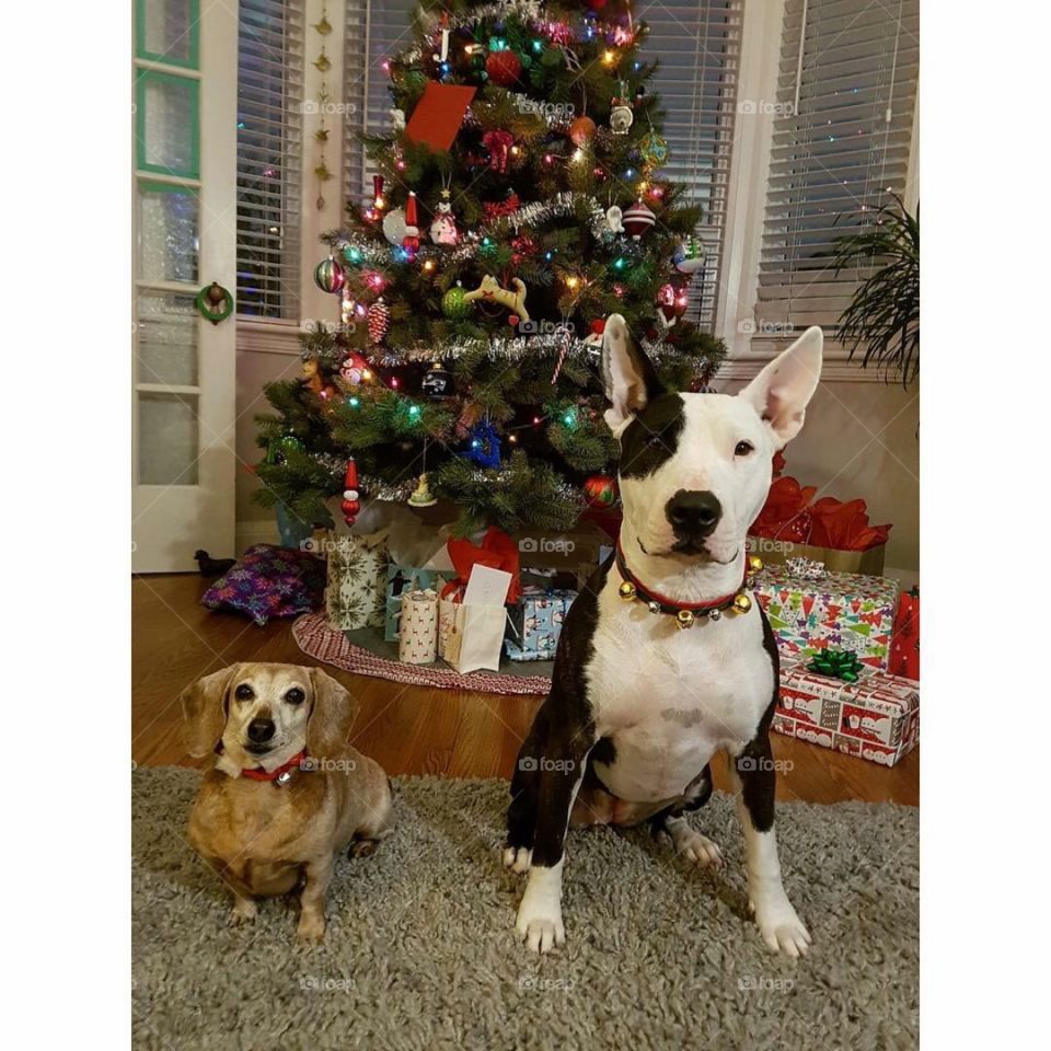 It’s a wonderful time of year!!