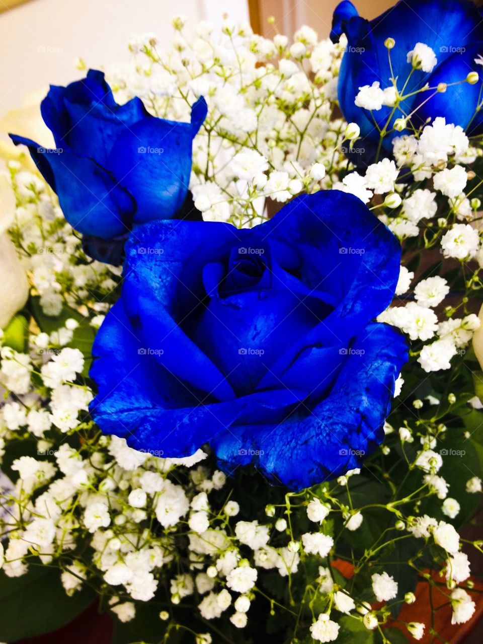 blue rose