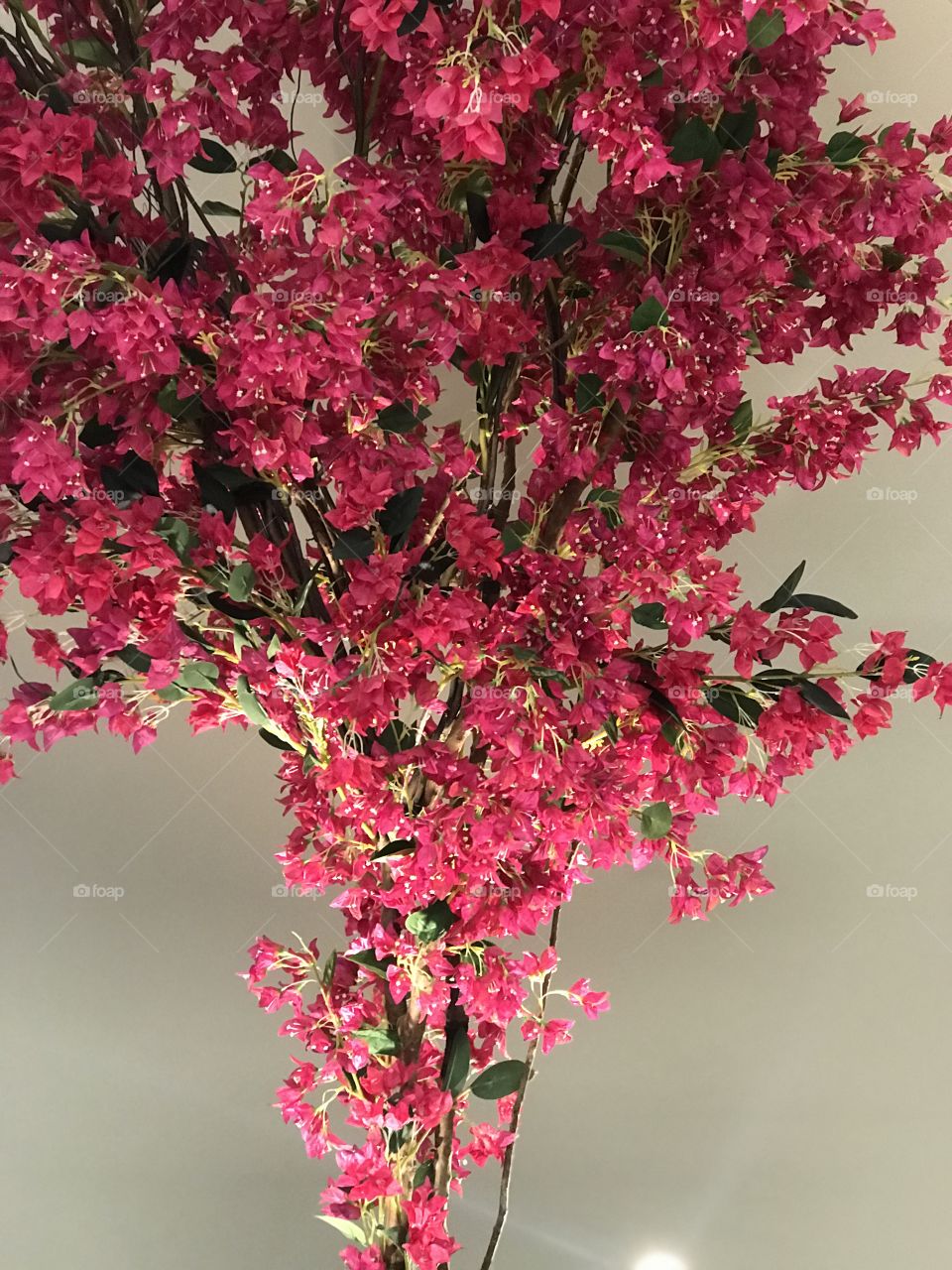 Lightning plant inside shopping mall