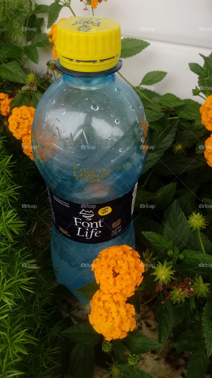 プラスチック、ペットボトル、水、アルコールを含まない飲酒、ナチュラル、マーケティング、ビジネス