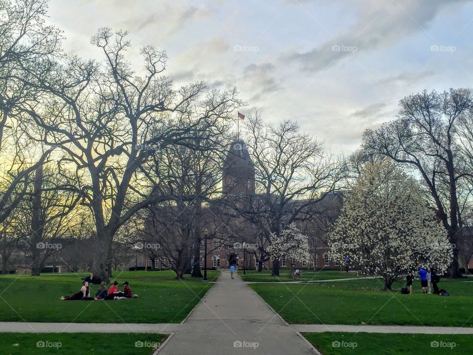 Ohio State