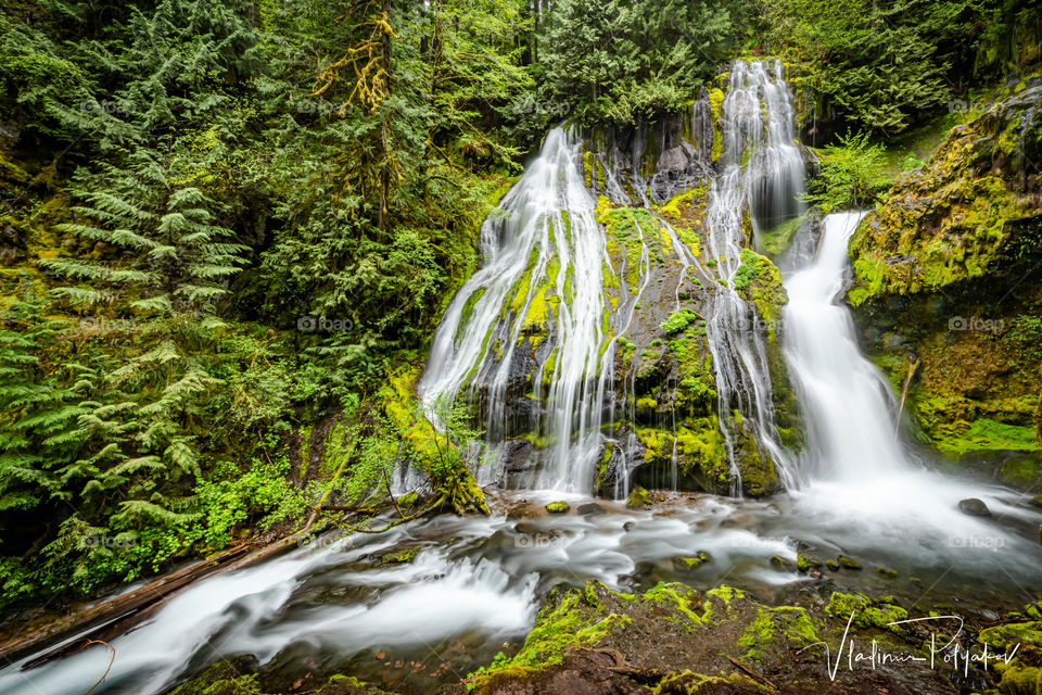 Panther creek waterfall  Oregon waterfall 