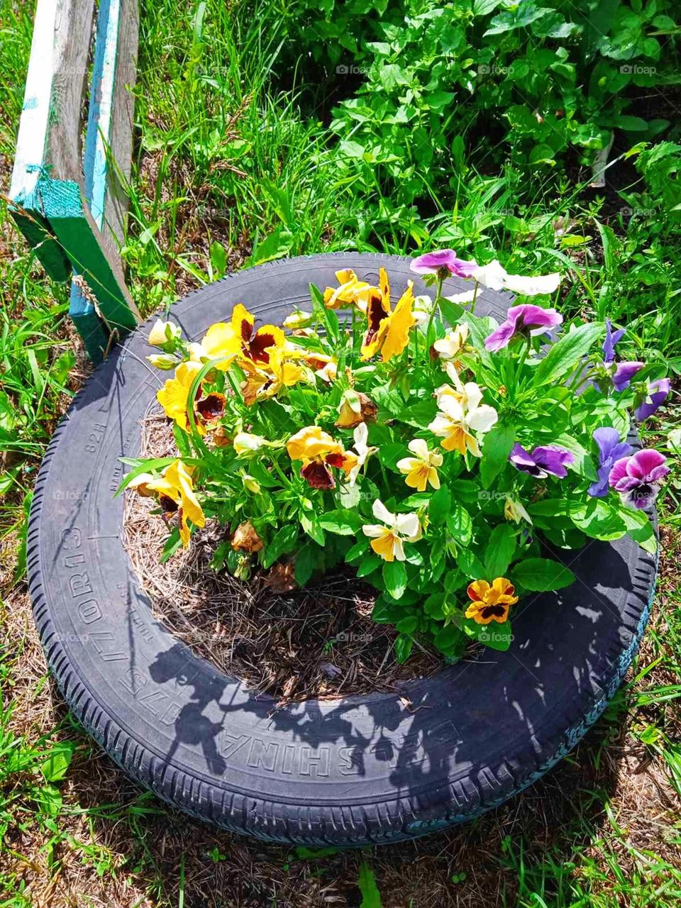 be authentic go green