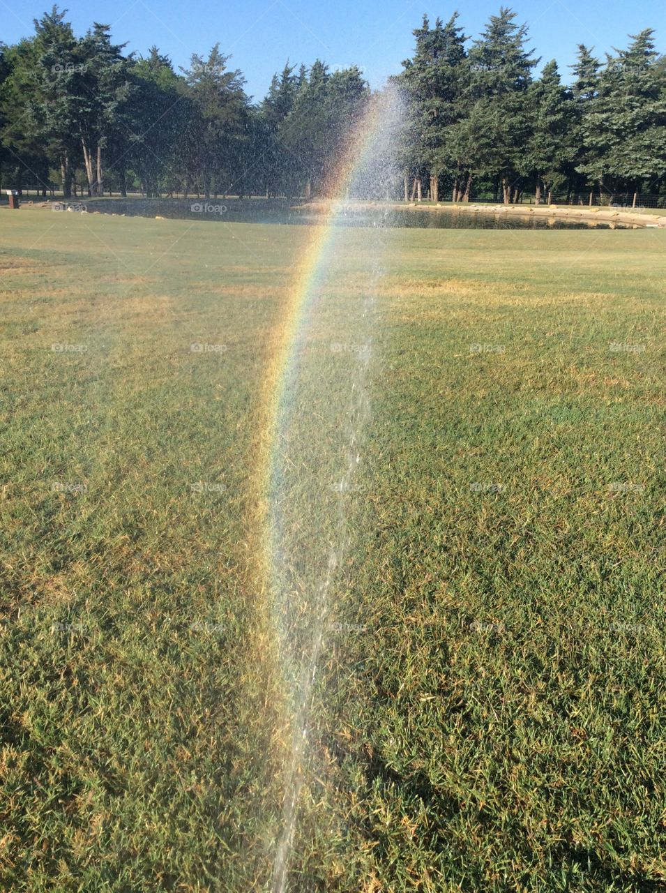 Sprinkler rainbow