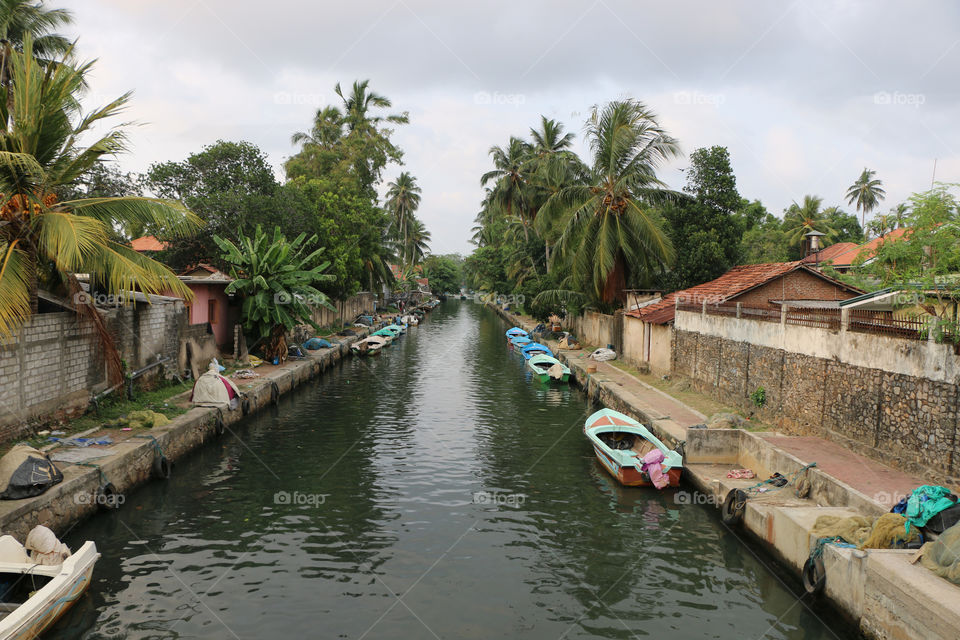 hamilton canal negombo