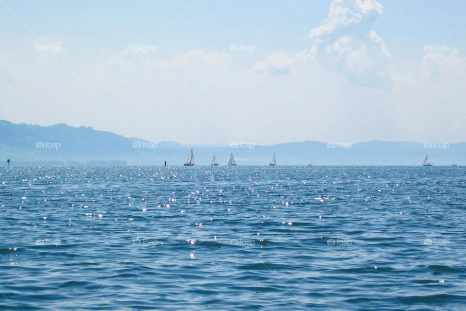 Sailboats 