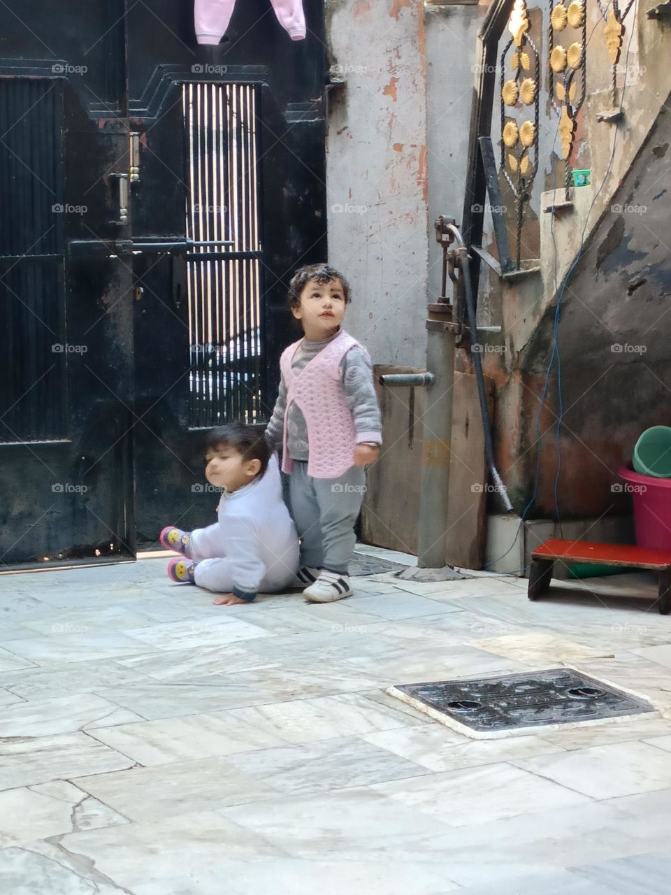 editors' choice: photo of the week