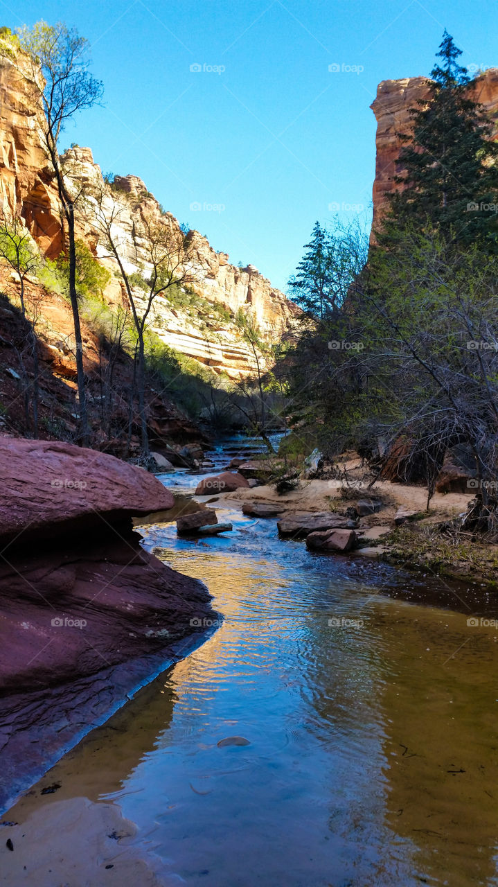 On the way to The Subway (Left Fork Bottom Up) at Zion