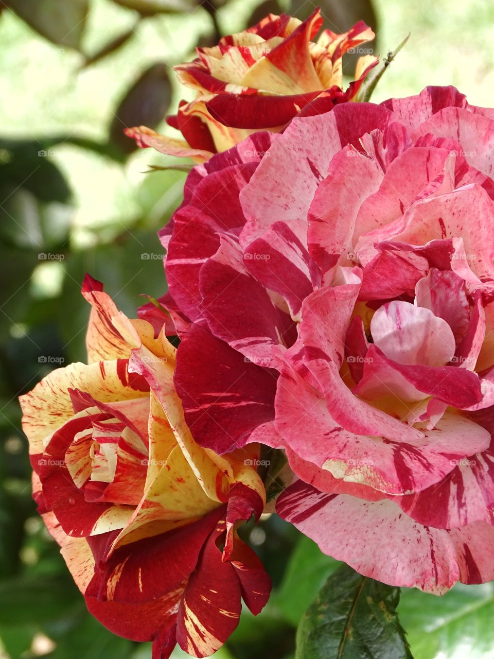 The best of photography