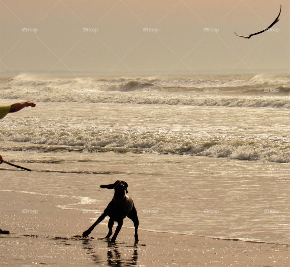 On the beach