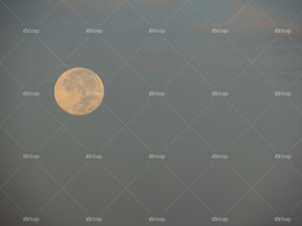 Early morning moonlight. On my way to work when I took this picture