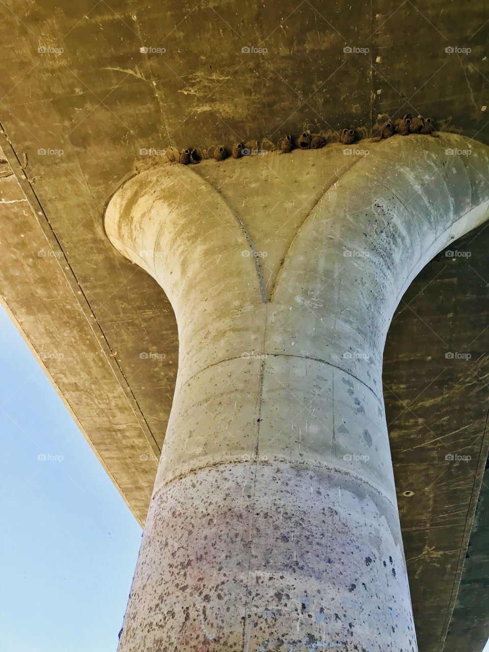 Birds Nests Under The Bridge 