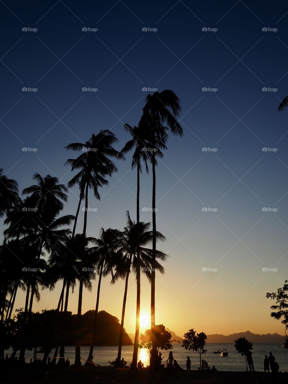 Silhouette of palm trees on the beach at sunset