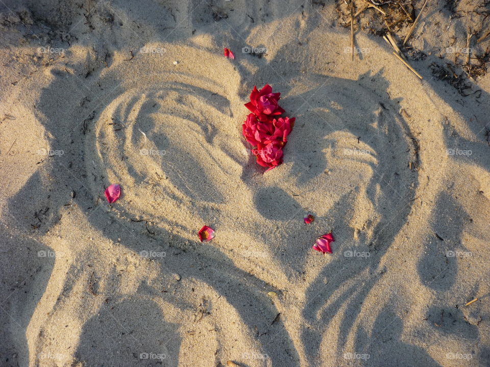 Love, heart, rose petals on the beach