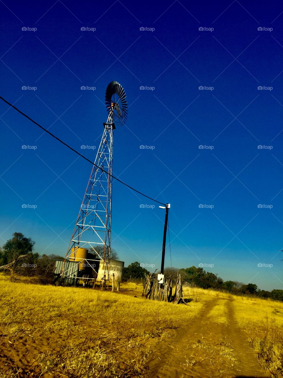 Trips on the farm we stop at the cattle’s water point. Water is drawn from underground with a windmill.