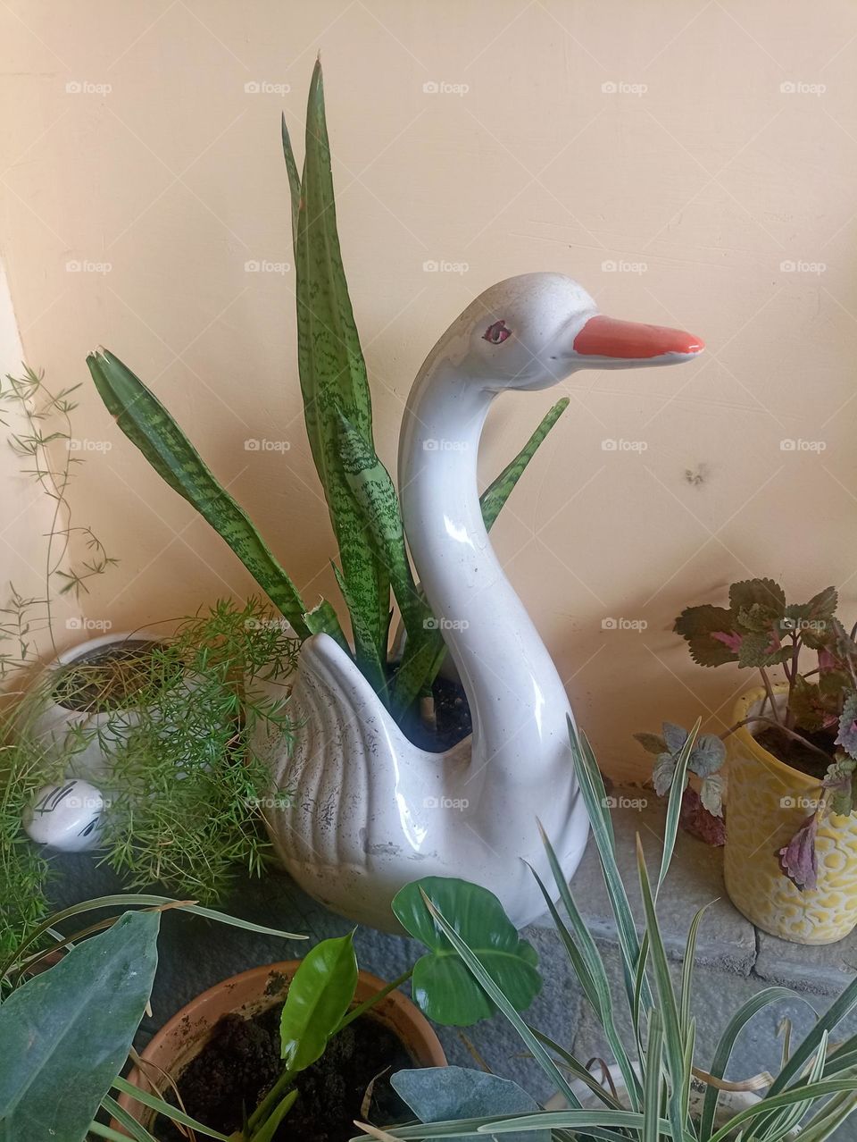 the plants have enough spirit to transform our generation and vision