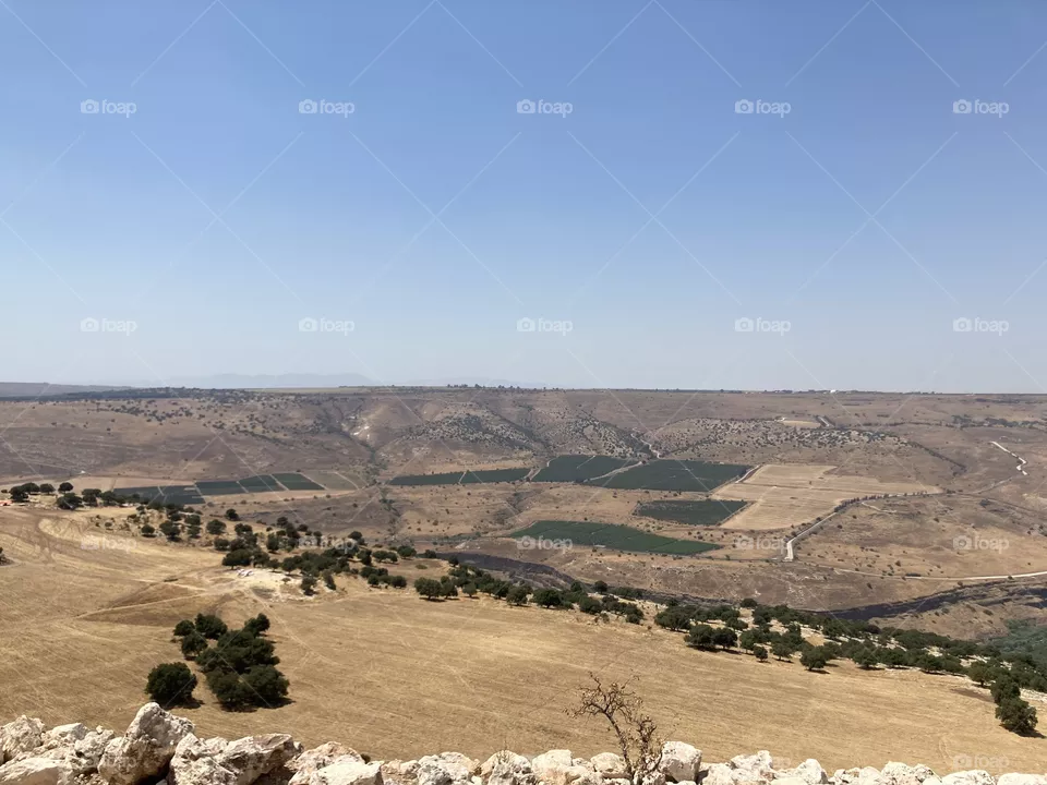 Nature in Jordan 