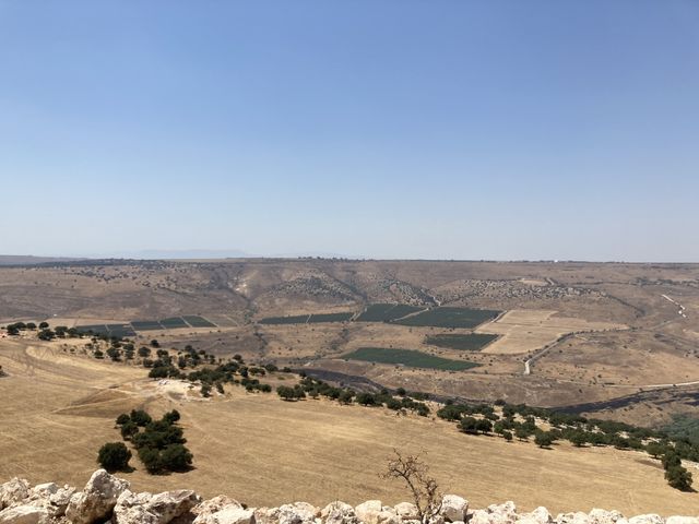 Nature in Jordan 