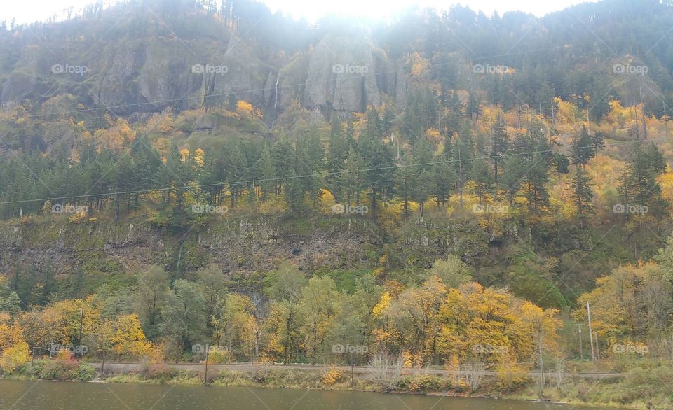 Autumn in Oregon