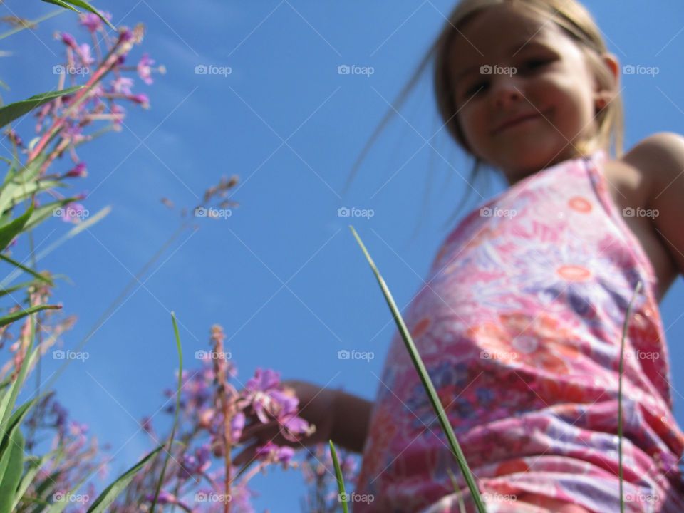 Looking for flowers and cool bugs