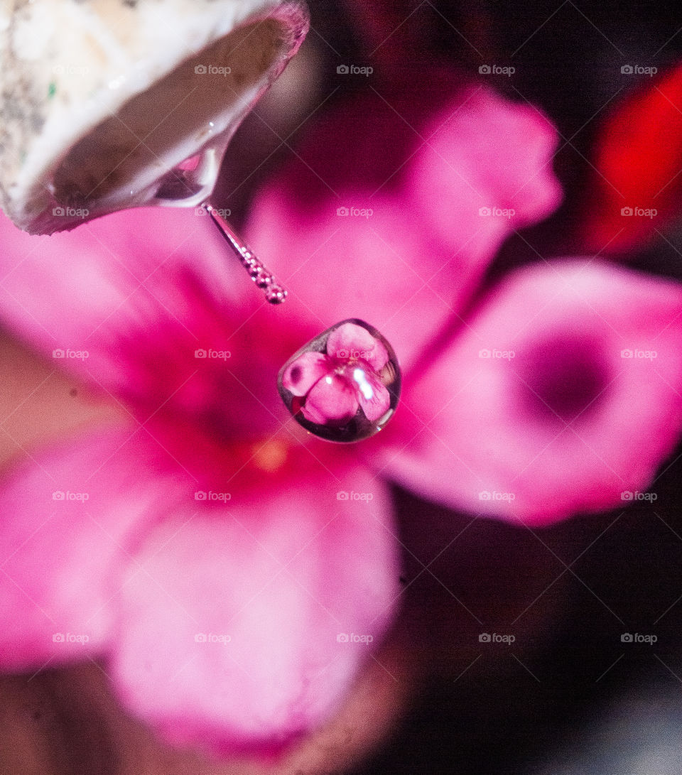 Water drop on pink flower