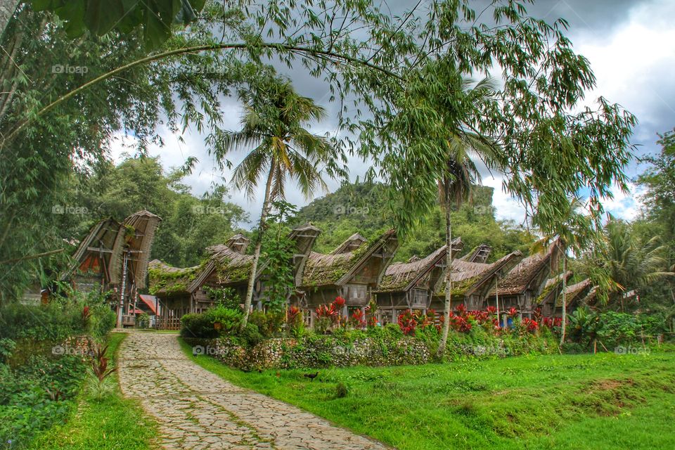 Tongkonan is traditional house, heritage of toraja people in sulawesi, Indonesia