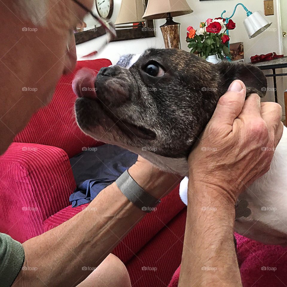 Man and his dog sharing a kiss.