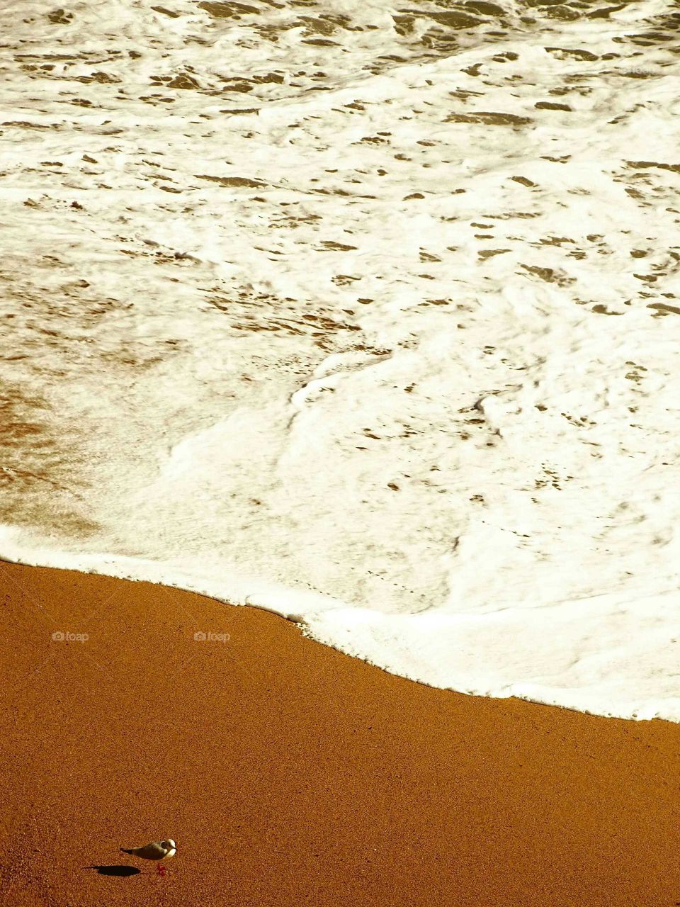 The beauty of the beach