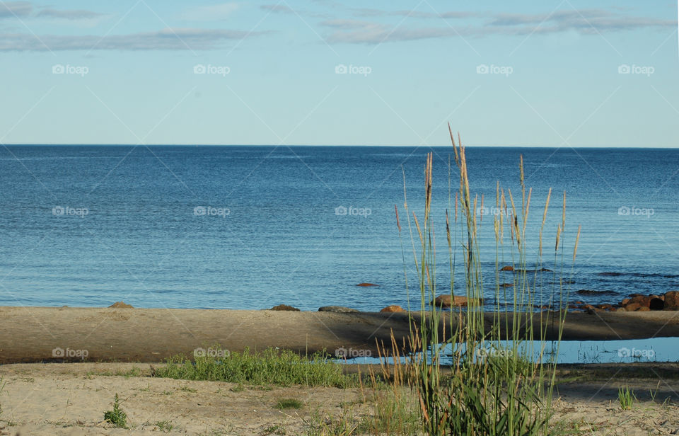 sea water sky grass