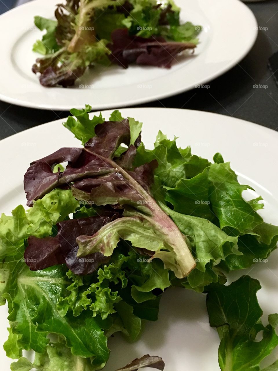 Baby green lettuce mix on salad plate 