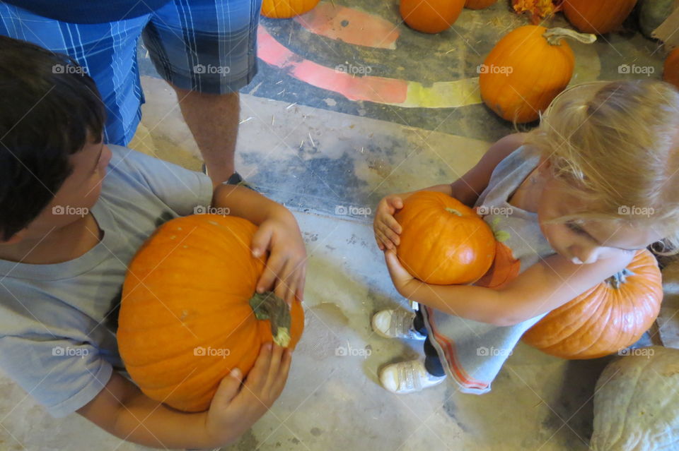 Children holding onto their pumpkins from above.