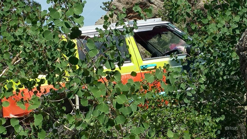 Jeep in hiding