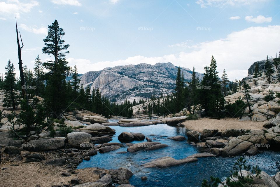 Summer at Yosemite National Park