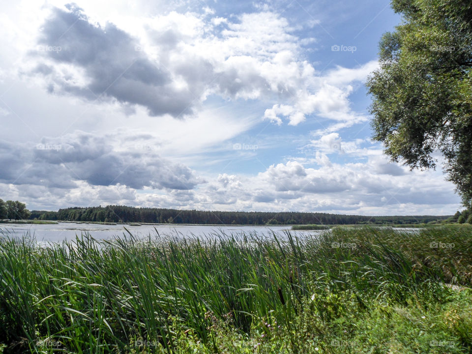 nature Ukraine