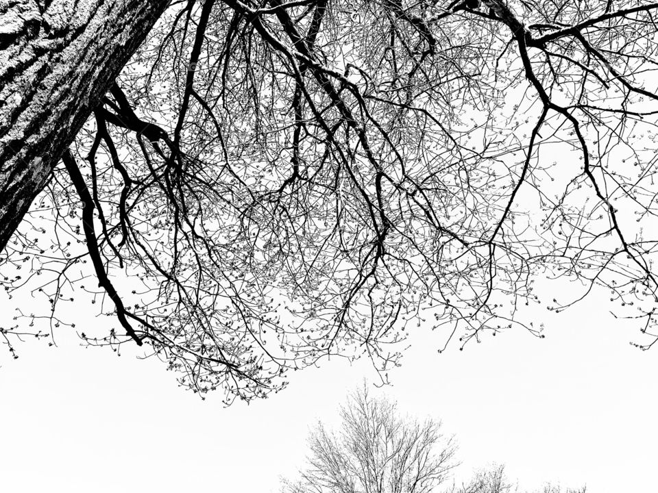 Fun photos taken as walking through nature sites seeing what all nature has to offer! 