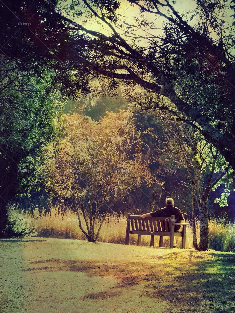 Sunday afternoon relax