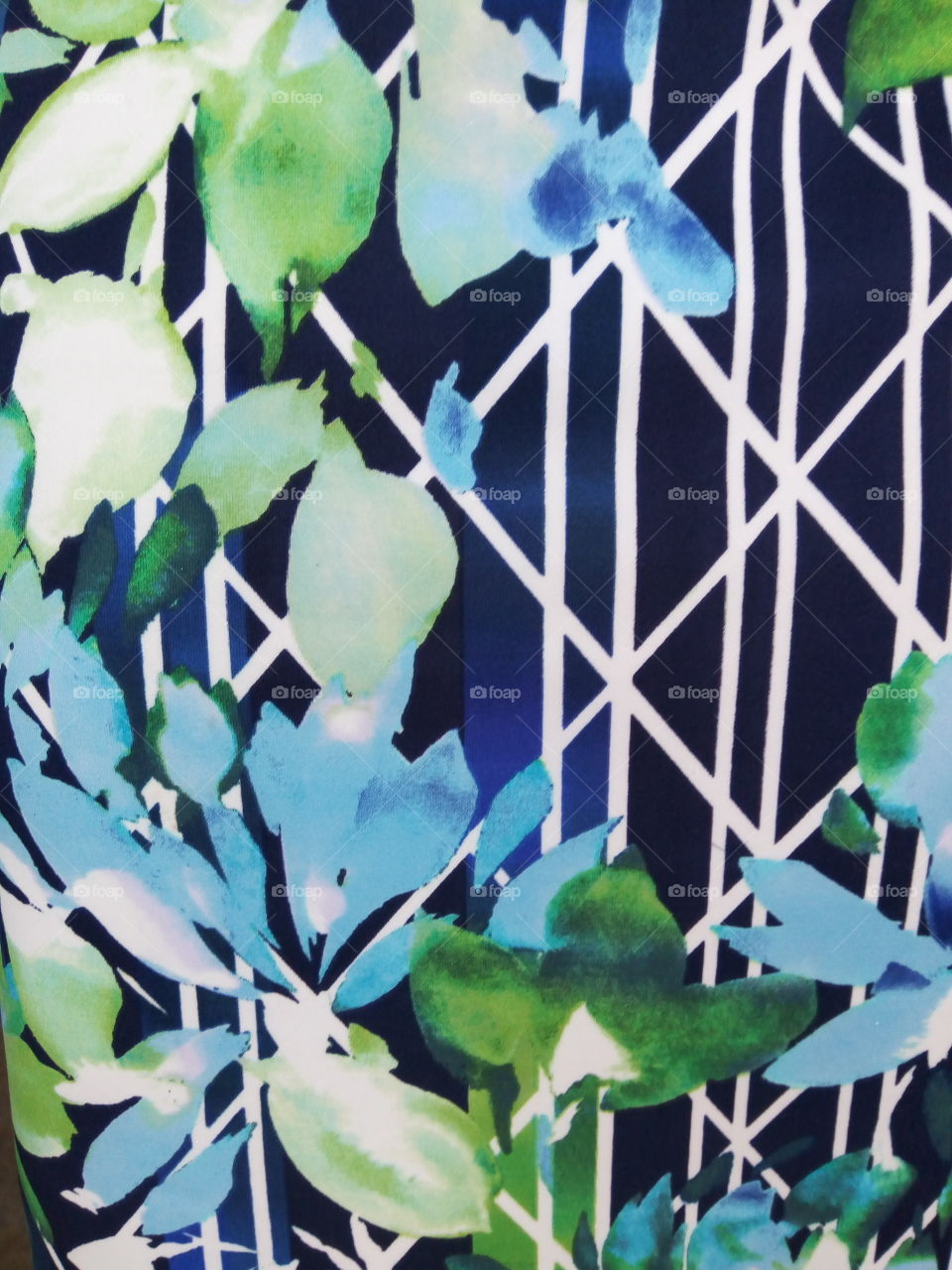 No Person, Leaf, Flora, Nature, Flower