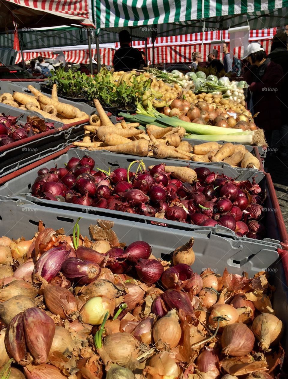 Local market